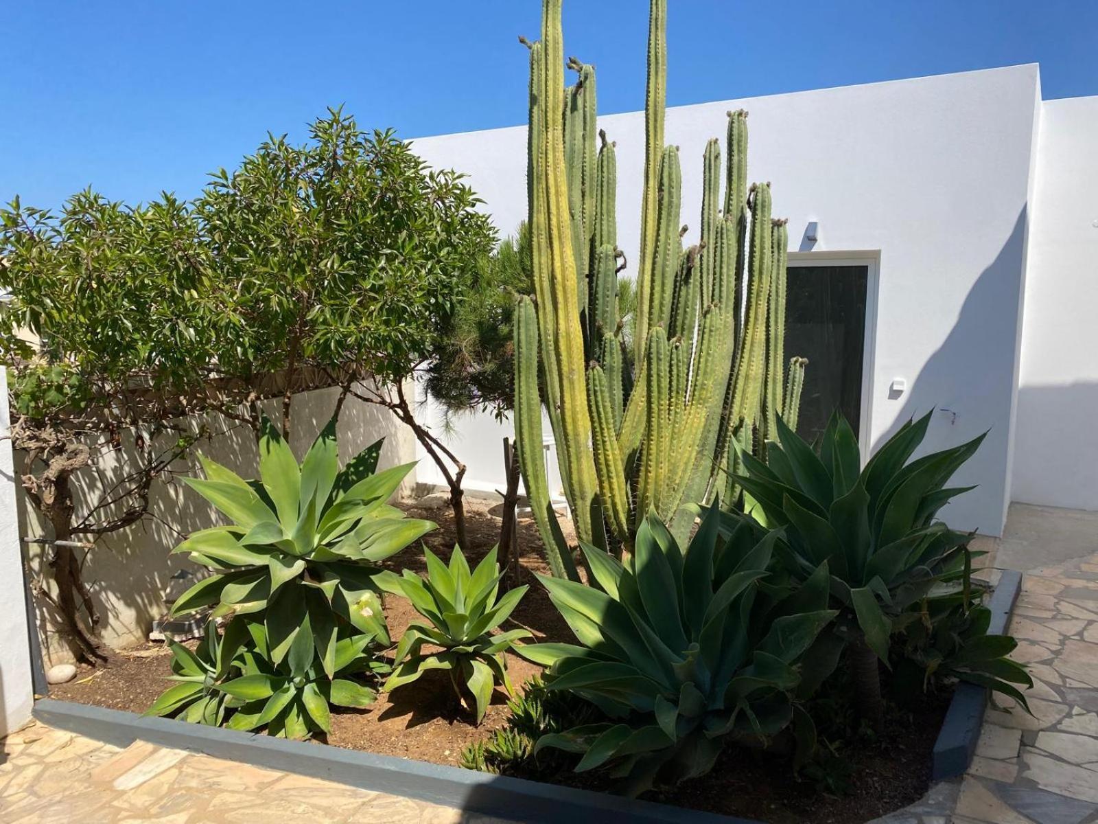 Casa La Isla Apartment Sagres Ngoại thất bức ảnh